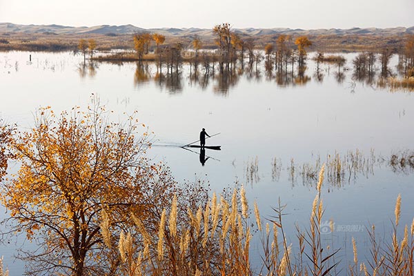 Disc-type horseshoe fan motor